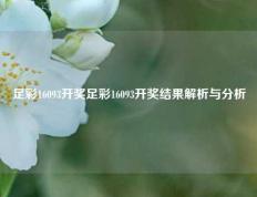 足彩16093开奖足彩16093开奖结果解析与分析