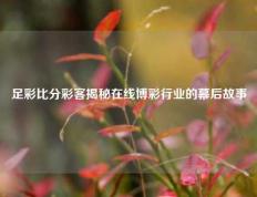 足彩比分彩客揭秘在线博彩行业的幕后故事