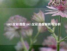 18021足彩澳盘18021足彩澳盘解析与分析