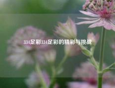 334足彩334足彩的精彩与挑战