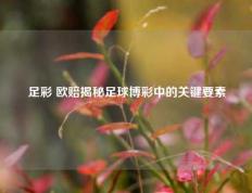 足彩 欧赔揭秘足球博彩中的关键要素