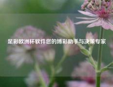 足彩欧洲杯软件您的博彩助手与决策专家