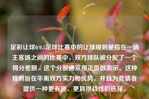 足彩让球0/0.5足球比赛中的让球规则是指在一场主客场之间的比赛中，双方球队被分配了一个得分差额，这个分数通常用正负数表示。这种规则旨在平衡双方实力和优势，并且为竞猜者提供一种更有趣、更具挑战性的选择。