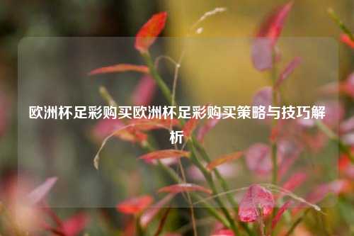 欧洲杯足彩购买欧洲杯足彩购买策略与技巧解析