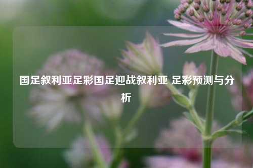 国足叙利亚足彩国足迎战叙利亚 足彩预测与分析