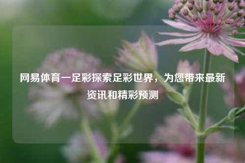 网易体育一足彩探索足彩世界，为您带来最新资讯和精彩预测