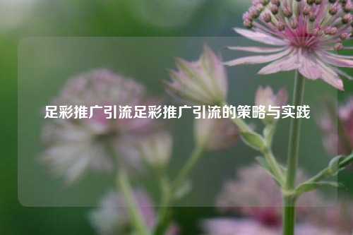 足彩推广引流足彩推广引流的策略与实践