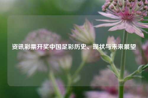 资讯彩票开奖中国足彩历史、现状与未来展望