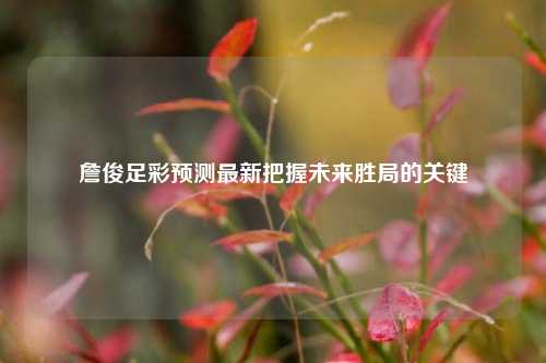 詹俊足彩预测最新把握未来胜局的关键
