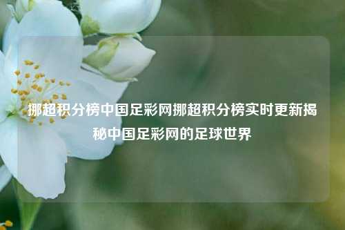 挪超积分榜中国足彩网挪超积分榜实时更新揭秘中国足彩网的足球世界