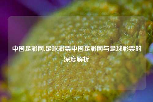 中国足彩网,足球彩票中国足彩网与足球彩票的深度解析