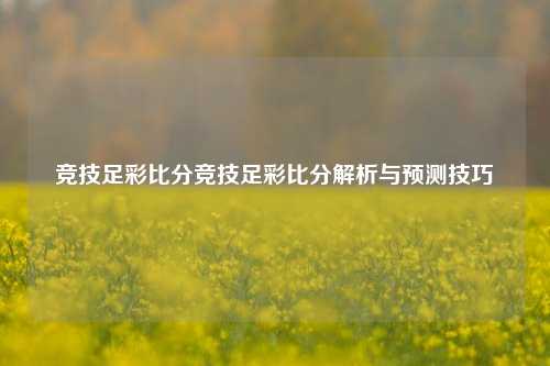 竞技足彩比分竞技足彩比分解析与预测技巧