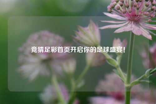 竞猜足彩首页开启你的足球盛宴！