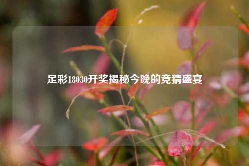 足彩18030开奖揭秘今晚的竞猜盛宴