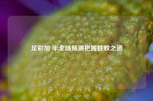 足彩加 半全场预测把握胜败之道