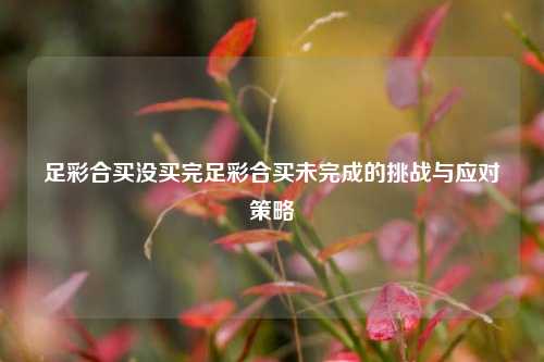 足彩合买没买完足彩合买未完成的挑战与应对策略